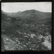 Böhl glass slide 21./697